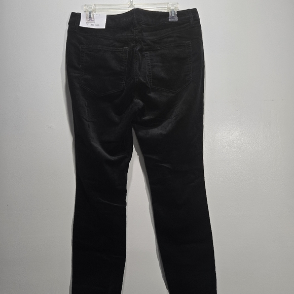 Ann Taylor LOFT Fall Pants Bundle (2) Size 10 - Picture 2 of 11